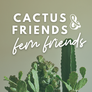 🌵 Cactus Friends & Fern Friends 🌿